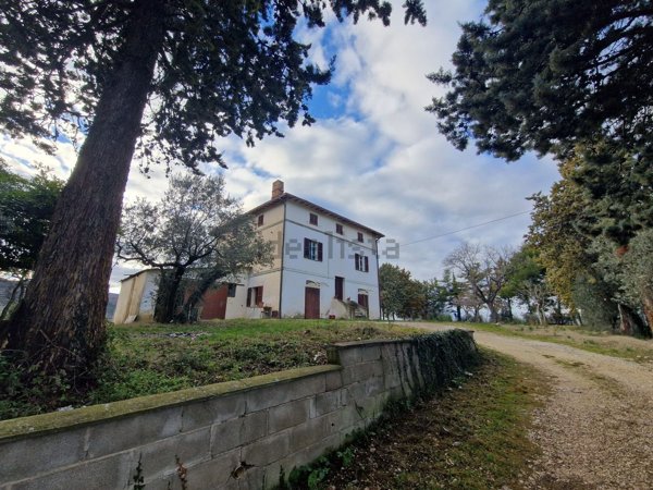 esavano in vendita a Castel Ritaldi