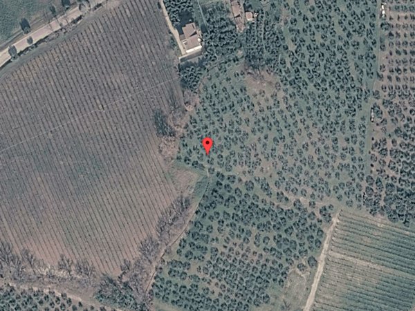 terreno edificabile in vendita a Castel Ritaldi in zona Torregrosso