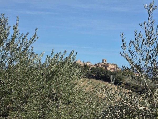 terreno in vendita a Castel Ritaldi