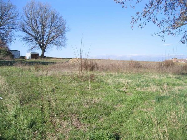 terreno agricolo in vendita a Castiglione del Lago