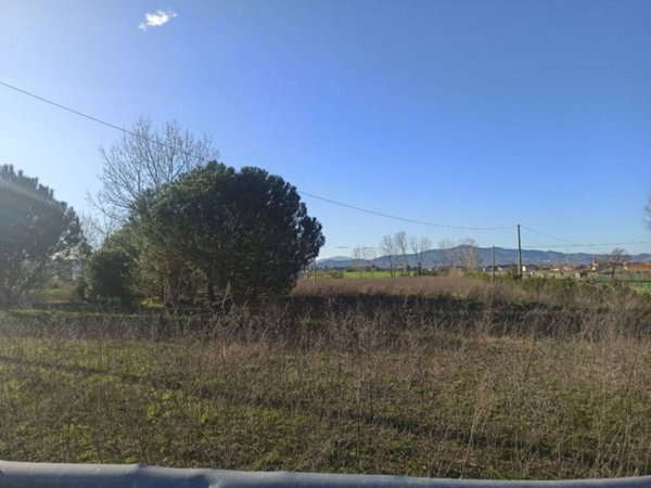 terreno edificabile in vendita a Castiglione del Lago in zona Panicarola