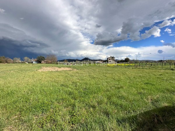 terreno agricolo in vendita a Castiglione del Lago in zona Panicarola