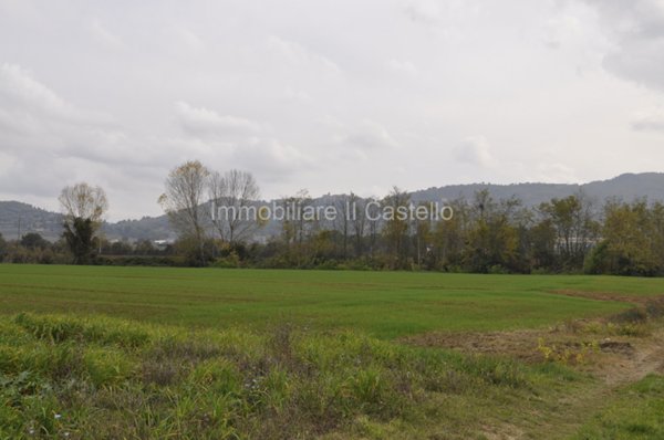 terreno agricolo in vendita a Castiglione del Lago in zona Macchie
