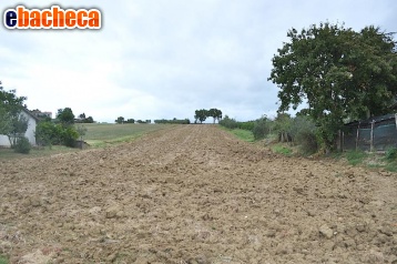 casa indipendente in vendita a Castiglione del Lago in zona Macchie