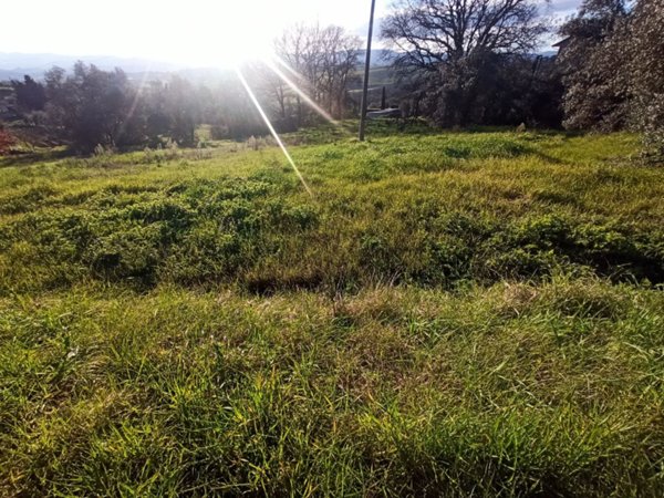 terreno edificabile in vendita a Castiglione del Lago in zona Gioiella