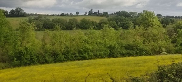 terreno agricolo in vendita a Castiglione del Lago in zona Gioiella