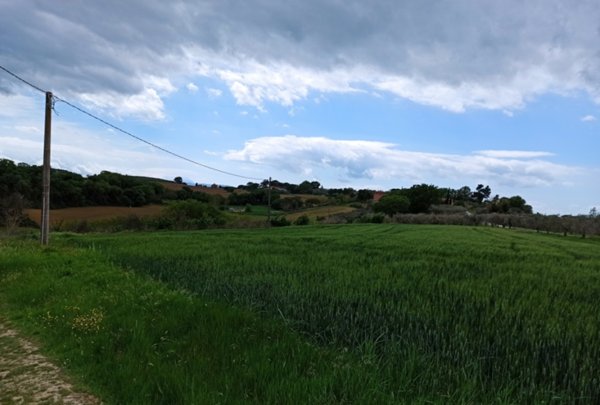 terreno agricolo in vendita a Castiglione del Lago in zona Gioiella