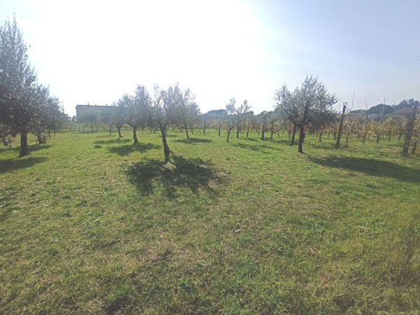 terreno edificabile in vendita a Castiglione del Lago