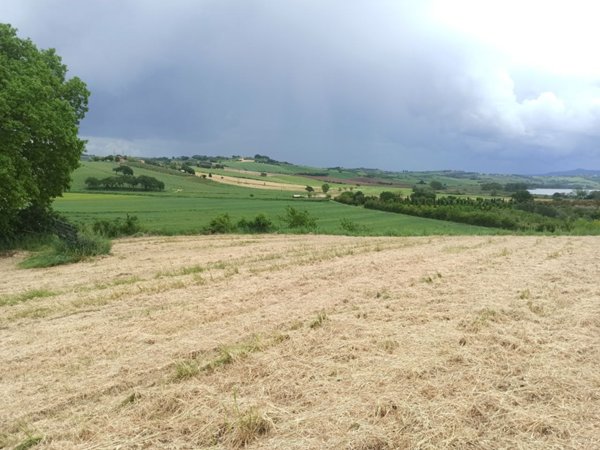 terreno edificabile in vendita a Castiglione del Lago in zona Porto