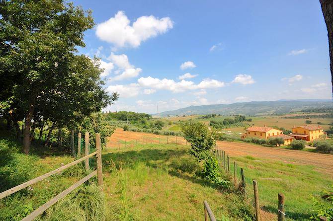 terreno agricolo in vendita a Castiglione del Lago