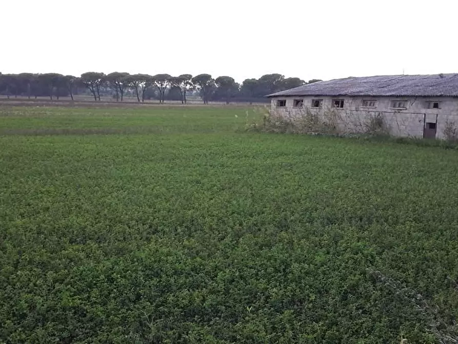 casa indipendente in vendita a Castiglione del Lago