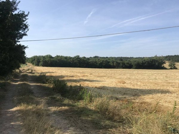 terreno agricolo in vendita a Castiglione del Lago
