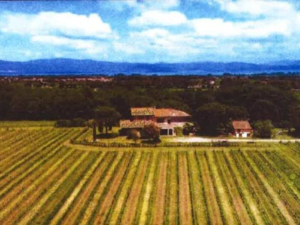 azienda agricola in vendita a Castiglione del Lago