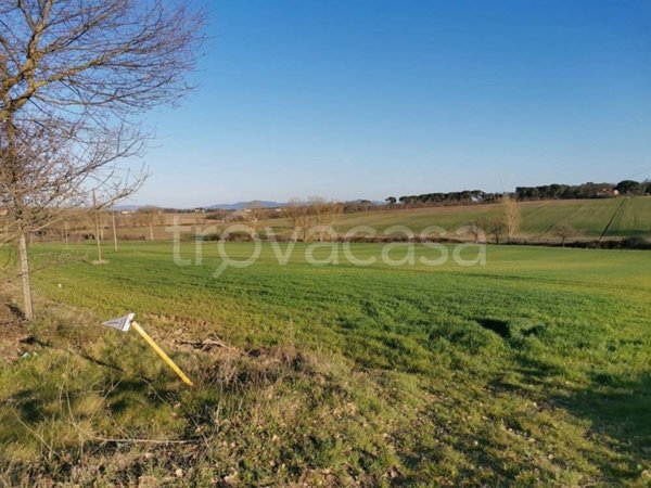 ufficio in vendita a Castiglione del Lago