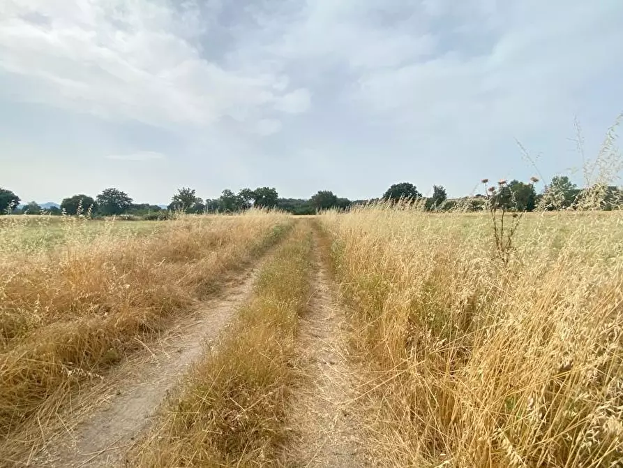 azienda agricola in vendita a Castiglione del Lago