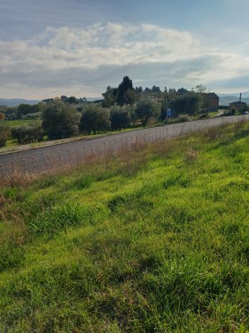terreno agricolo in vendita a Castiglione del Lago