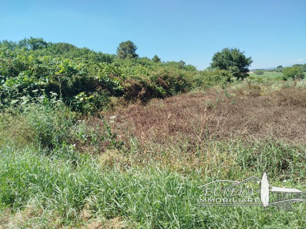 terreno agricolo in vendita a Castiglione del Lago