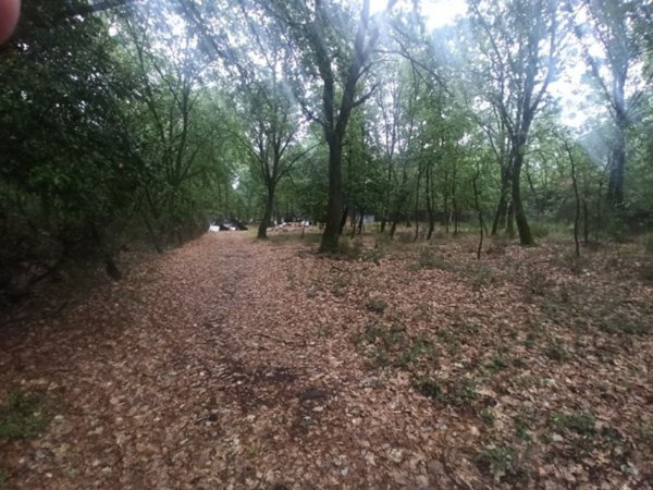 mansarda in vendita a Castiglione del Lago