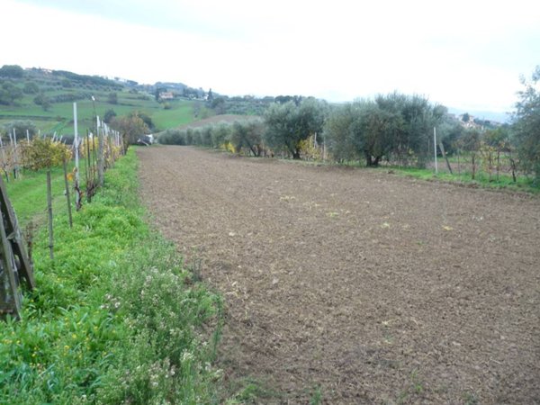 terreno agricolo in vendita a Castiglione del Lago in zona Gioiella