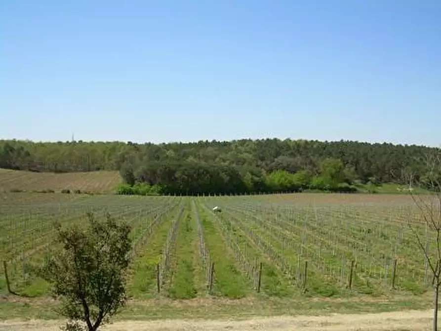 appartamento in vendita a Castiglione del Lago