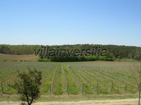 appartamento in vendita a Castiglione del Lago