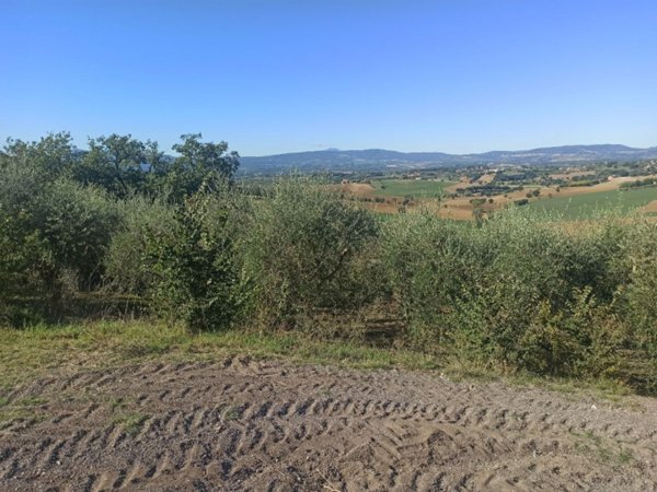 mansarda in vendita a Castiglione del Lago in zona Gioiella