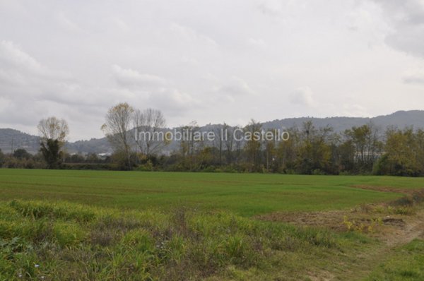 terreno agricolo in vendita a Castiglione del Lago in zona Macchie