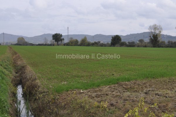 terreno in vendita a Castiglione del Lago in zona Macchie
