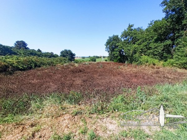terreno agricolo in vendita a Castiglione del Lago
