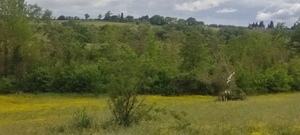 terreno agricolo in vendita a Castiglione del Lago in zona Gioiella