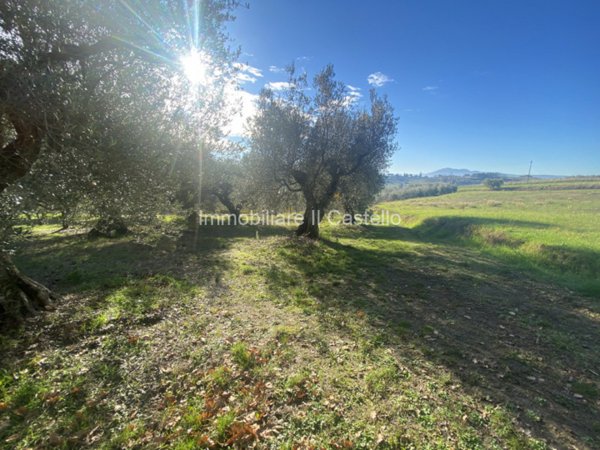 ufficio in vendita a Castiglione del Lago in zona Gioiella