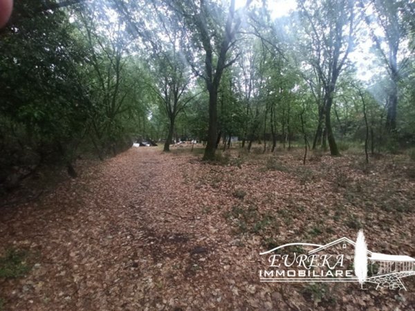 terreno in vendita a Castiglione del Lago