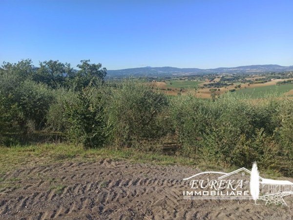 terreno in vendita a Castiglione del Lago in zona Gioiella