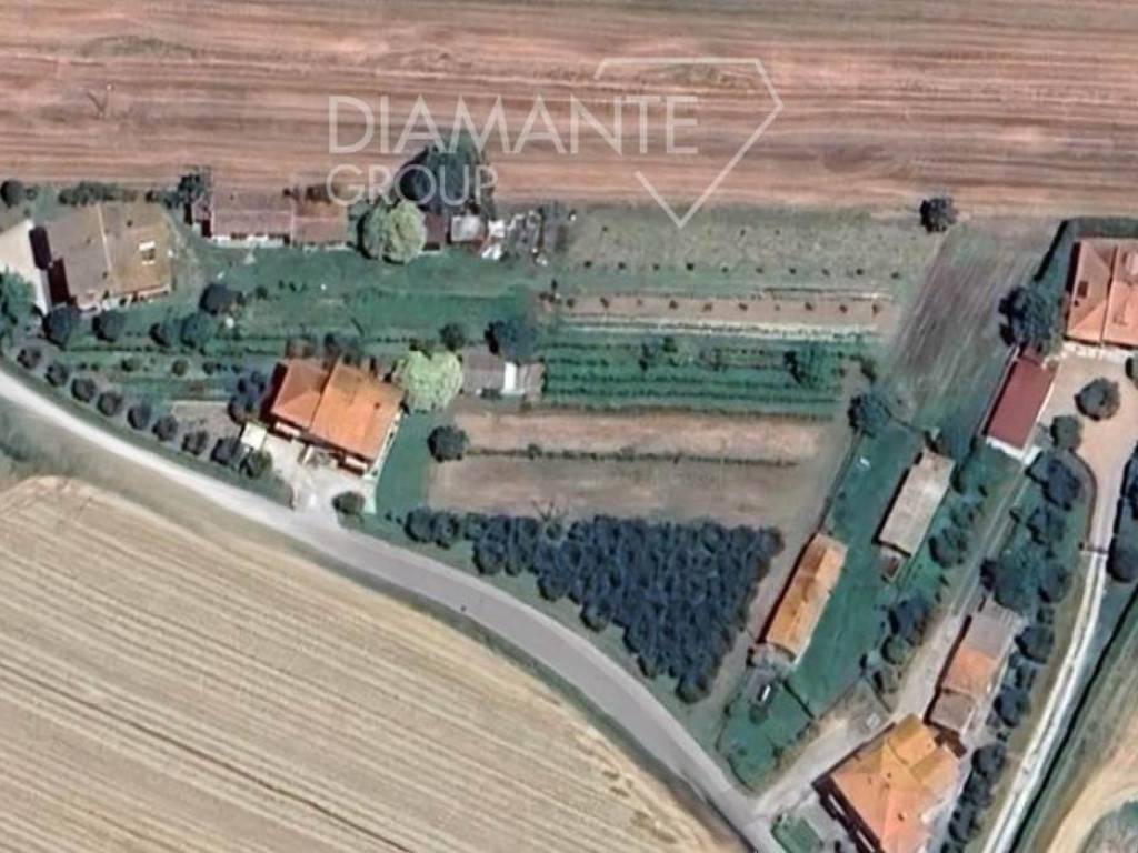 terreno agricolo in vendita a Castiglione del Lago