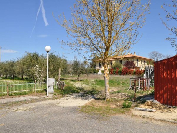 terreno agricolo in vendita a Castiglione del Lago
