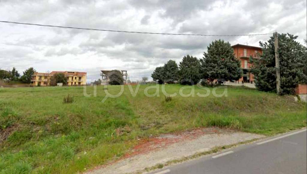 terreno agricolo in vendita a Castiglione del Lago in zona Macchie