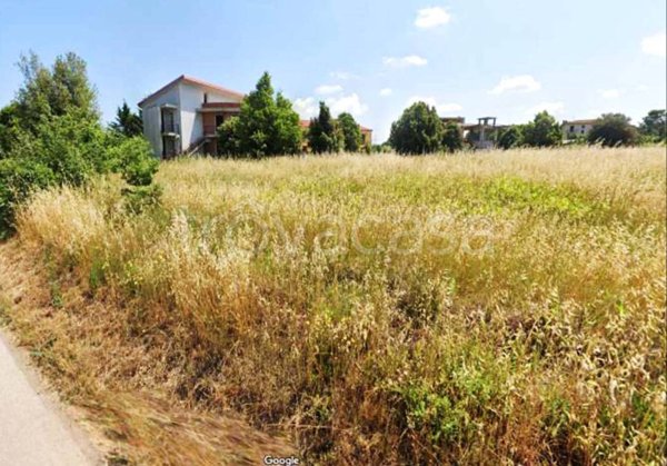 terreno agricolo in vendita a Castiglione del Lago in zona Macchie