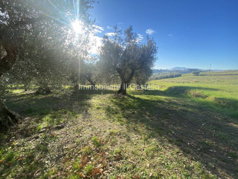 ufficio in vendita a Castiglione del Lago in zona Gioiella
