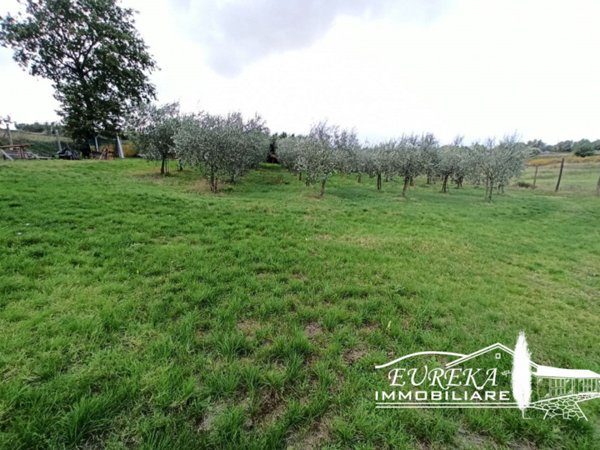 terreno in vendita a Castiglione del Lago