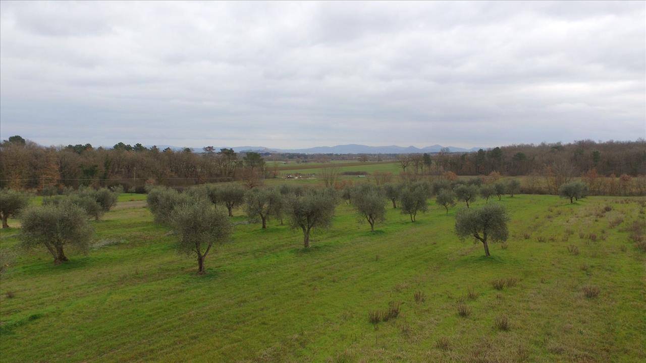 appartamento in vendita a Castiglione del Lago