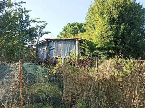 terreno agricolo in vendita a Castiglione del Lago