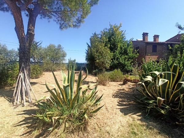 appartamento in vendita a Castiglione del Lago