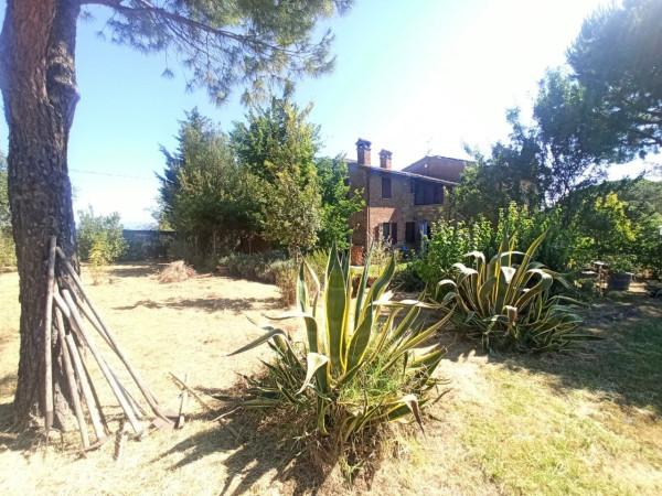 appartamento in vendita a Castiglione del Lago