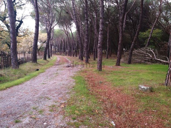 appartamento in vendita a Castiglione del Lago