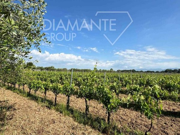 casa indipendente in vendita a Castiglione del Lago