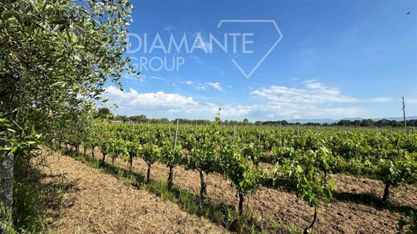 casa indipendente in vendita a Castiglione del Lago