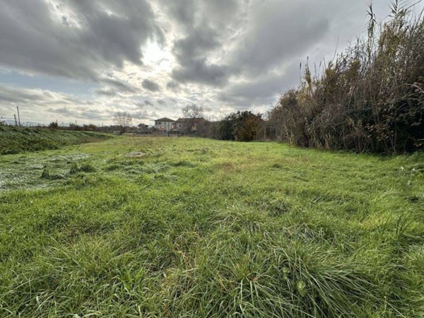 terreno agricolo in vendita a Castiglione del Lago