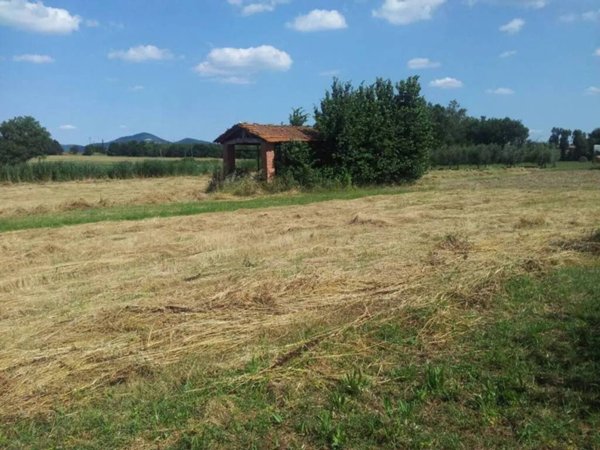 terreno agricolo in vendita a Castiglione del Lago in zona Panicarola