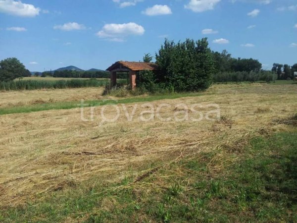 terreno agricolo in vendita a Castiglione del Lago in zona Panicarola