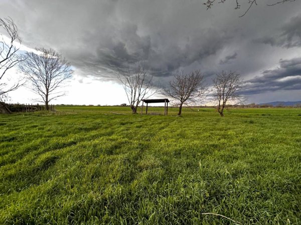 terreno agricolo in vendita a Castiglione del Lago in zona Panicarola